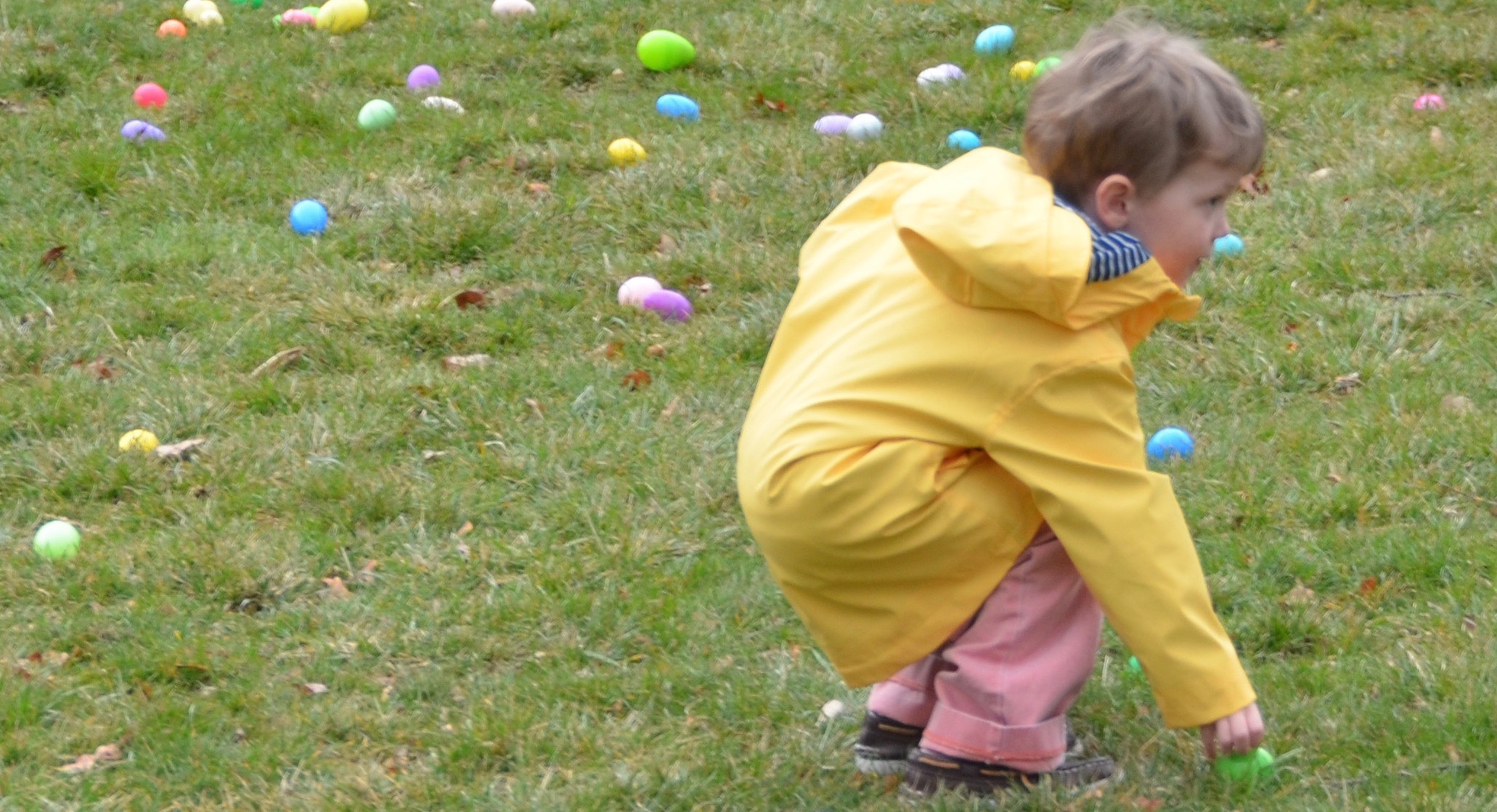 Egg hunt photo